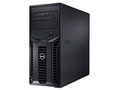 戴尔 PowerEdge T110(Xeon X3430/1