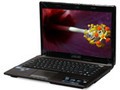 ��˶ A43EI245SD-SL��4GB/640GB��ů