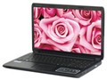 神舟 精盾 K580P-i7 D4