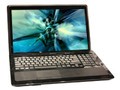 ����VAIO F