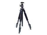 ��ŵ A250FBH00