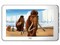 ������ PMP662��4GB��