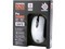 SteelSeries Kinzu White���