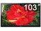 ���� TH-103PF9CK