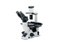 ���ְ�˹ CKX41-A21RC
