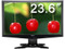 Acer GN245HQ