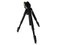 ΰ�� WF-6663A
