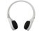 Ultimate Ears 3000