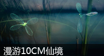 ����10CM�ɾ�