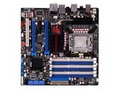 ATRampage II Gene