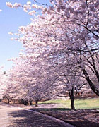 ���콼��̤���ͻ��ߴ����
