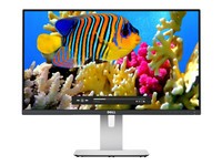 专业作图显示器 戴尔 U2414H东莞1250元