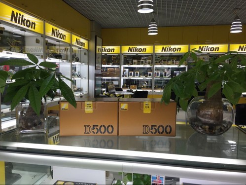 ῵D500ֻԼ9000Ԫ 