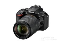尼康入门级单反D5600(18-140) 售4568元
