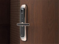 萤石 DL21S家用智能标准门锁报价2499