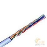 传输速率高 AMP六类网线含税价格680元