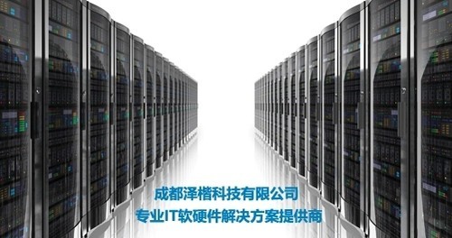 ڴ ΪTaiShan 2280139800 
