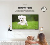 创维更生动 创维75Q30电视菏泽热销