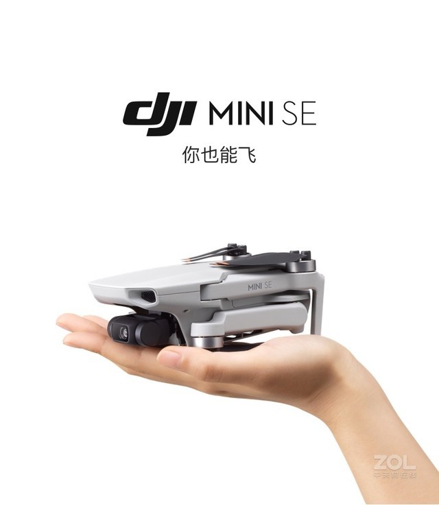 MINI SE 