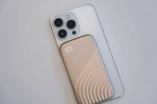 Զ̰칫ĹЧʣPassport 