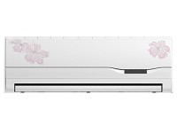 重庆志高KF-25GW/J169挂机空调售1799元