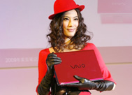 ����VAIOϵ���＾��Ʒ