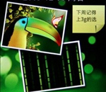 ����ZOL�༭��רҵ����