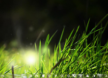 һ�����ĵ�Win7����