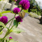 ���⣺�����Ļ���<br/>
�ͺţ�ŵ���� 6700s<br/>���ߣ�������