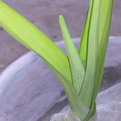 ���⣺����������<br/>
�ͺţ�MOTO XT702 <br/>���ߣ���S��鷸���� 