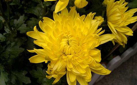 N8���� ������һ���֤����ǿ��