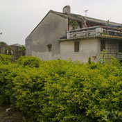 ���⣺��Ұ����<br/>
�ͺţ�ŵ���� 5800XM<br/>���ߣ��������