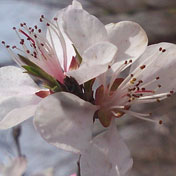 ���⣺����һ��<br/>
�ͺţ�Ħ������ZN5 <br/>���ߣ�����