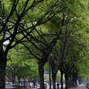 ���⣺·�ߵ���ѿ<br/>
�ͺţ�ŵ����N78<br/>���ߣ�SquallС��