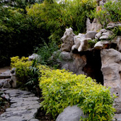 ���⣺�羰<br/>
�ͺţ�ŵ���� N8<br/>���ߣ���Ӱ��