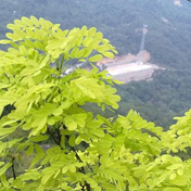 ���⣺���͵��� <br/>
�ͺţ�ŵ���� 5800XM<br/>���ߣ��������