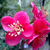 ���⣺�һ���<br/>
�ͺţ�6500s<br/>���ߣ�������