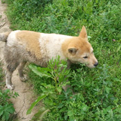 ���⣺���Բ���<br/>
�ͺţ�GT-M8910<br/>���ߣ�������