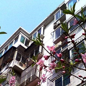 ���⣺����<br/>
�ͺţ�ŵ���� 5230<br/>���ߣ��Ϲ�����