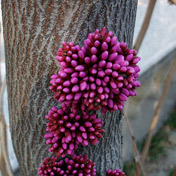 ���⣺�Ͼ���<br/>
�ͺţ�Altek A806<br/>���ߣ�lxs7619