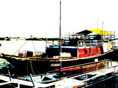 ��ɫ����ɫ��Ч�������洬
