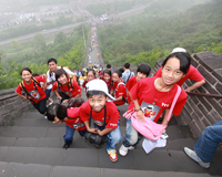 TCL 3DƼ֮