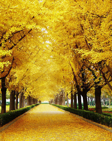 ʮ������ѧ��������