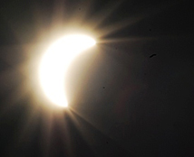 ���ʳ�¯��Ϋ����ʳ