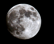 ����ҹ���������� 