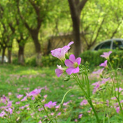 ���⣺�����µ���Ϣ<br/>
�ͺţ�����MT15I<br/>���ߣ�duchuxii