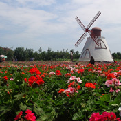 ���⣺��������<br/>
�ͺţ�����M8910<br/>���ߣ�����