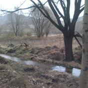 ���⣺��~��<br/>
�ͺţ�ŵ����C6-01<br/>����:3450zqy