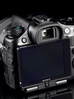 ���µ�Bionz������