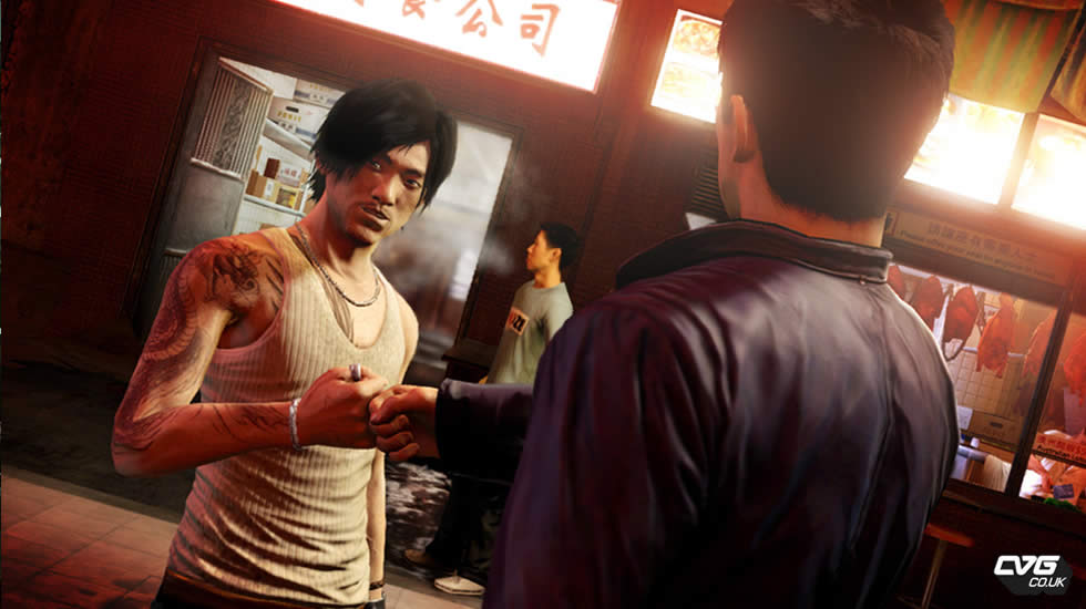 ��Sleeping Dogs��
